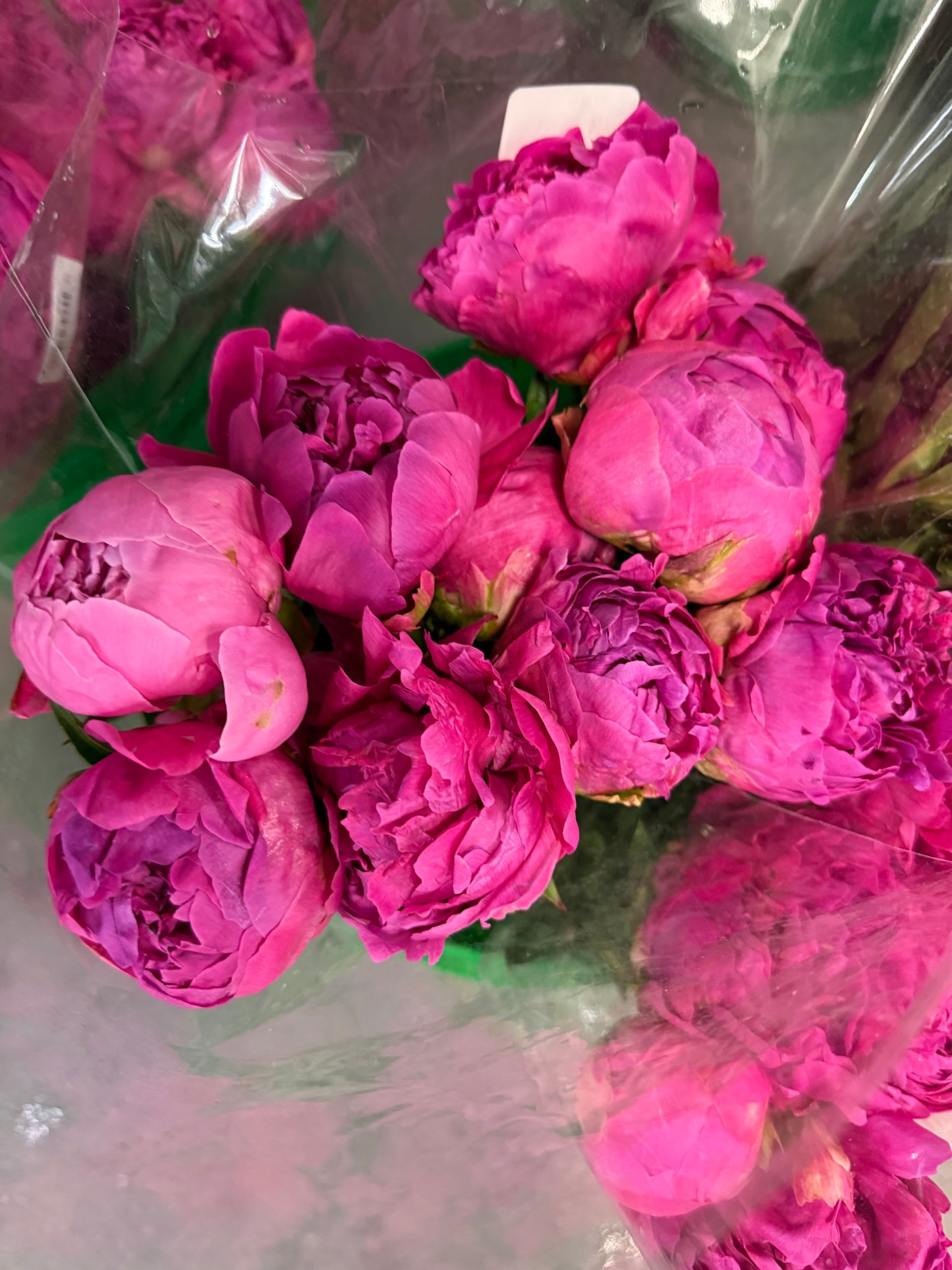 Peony Bloom _Best florist in Oakville_same day Flower delivery_Free local delivery