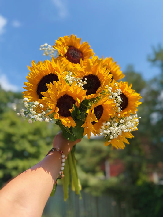 Bloom and petals_sunflower bouquet_bloom sunshine