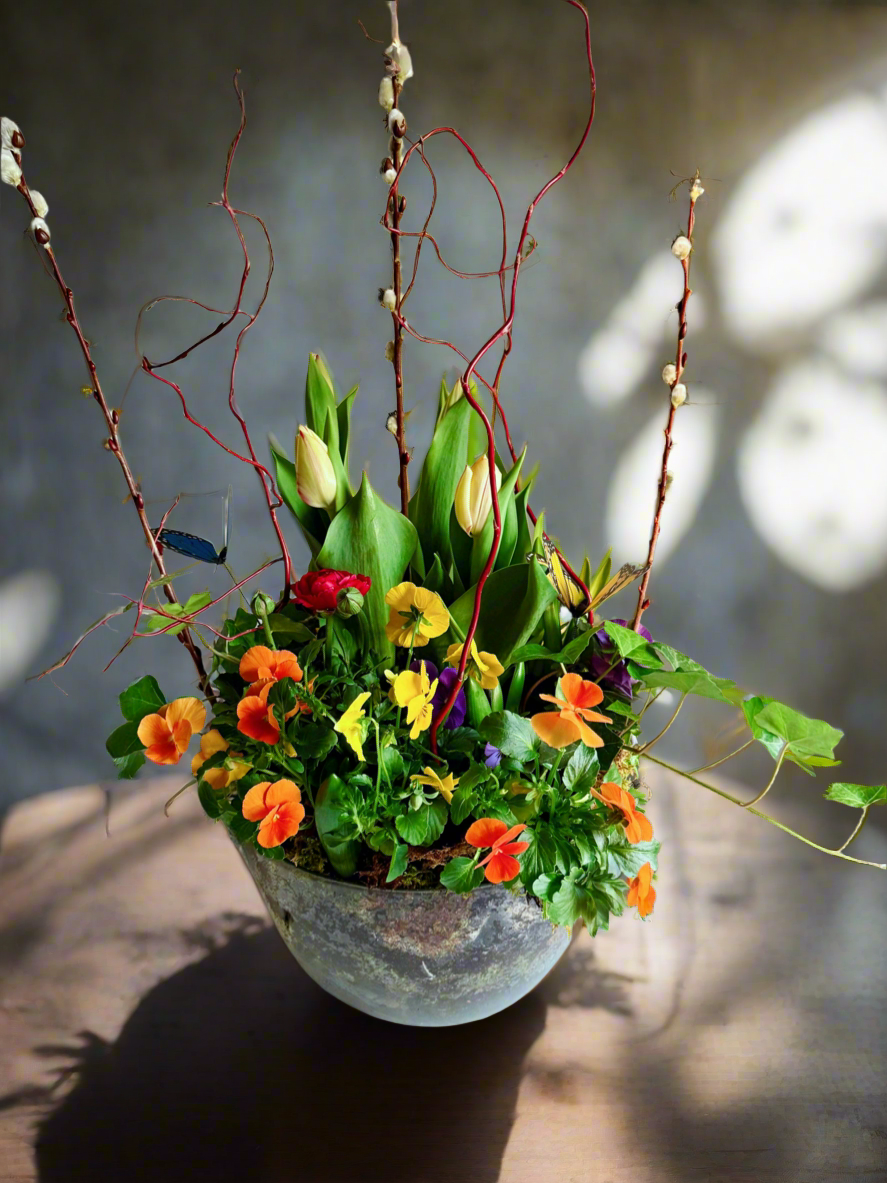 Petal Paradise-Plant centrepiece