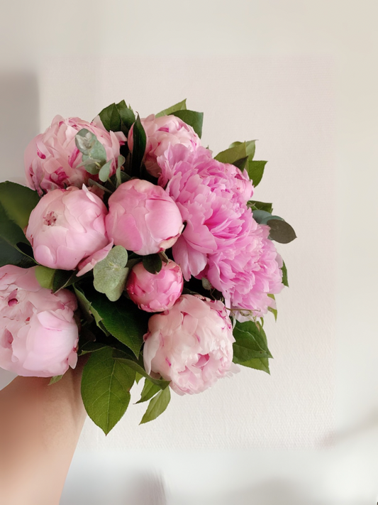 Peony Bloom Bouquet -10 Stems
