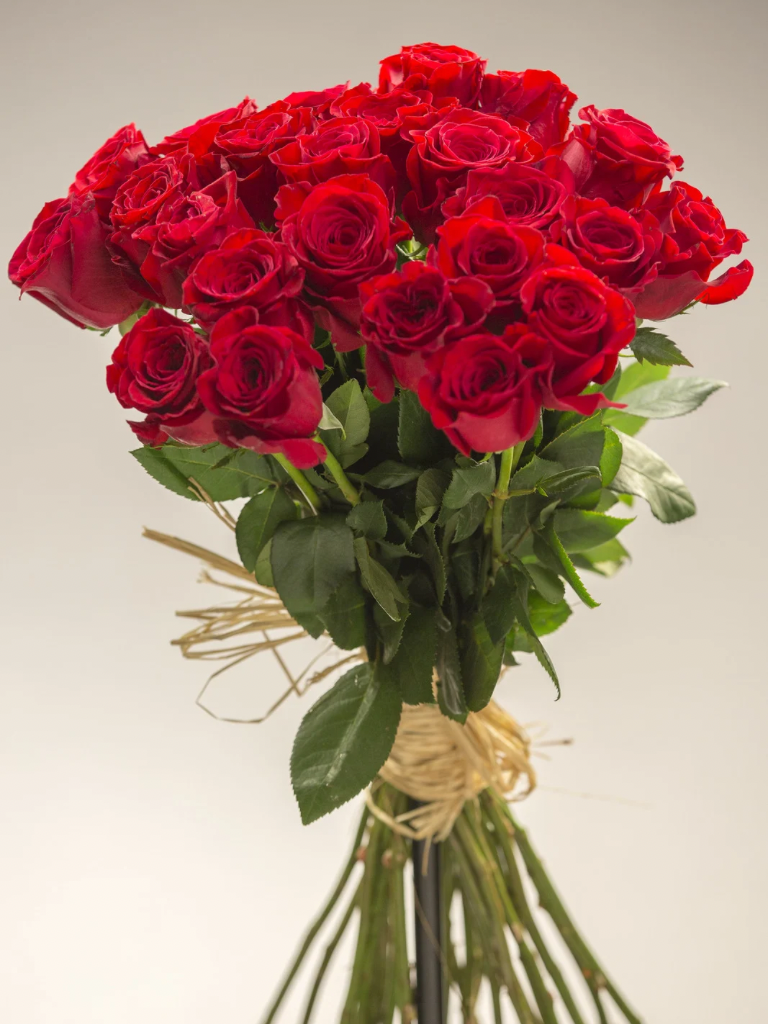 Romantic Red Roses