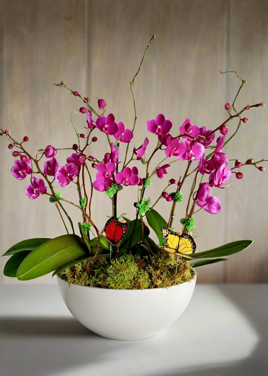 Bouquet of pink orchids in a white bowl with decorative elements on a neutral background